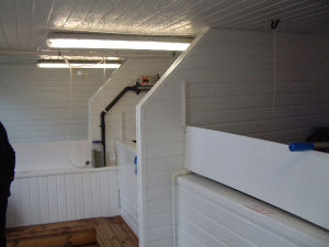 Biosecurity surfaces