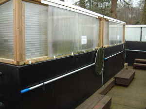 Biosecurity individual