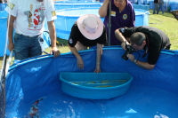 Show water photograph